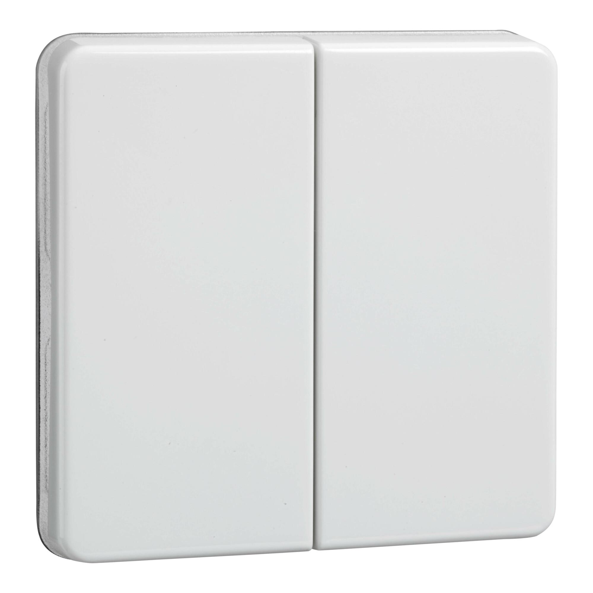 Elso Wippe rw Serie u.Doppeltaster 233504)