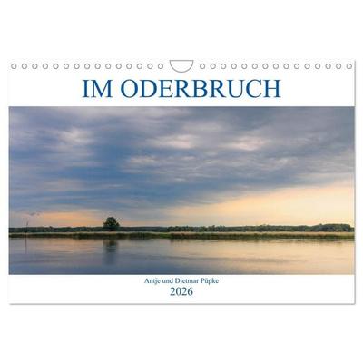 Im Oderbruch (Wandkalender 2026 DIN A4 quer), CALVENDO Monatskalender