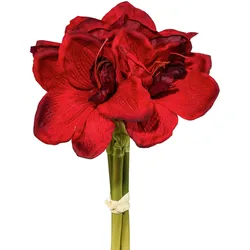 Kunstpflanze Amaryllis-Bund Dunkelrot/Grün