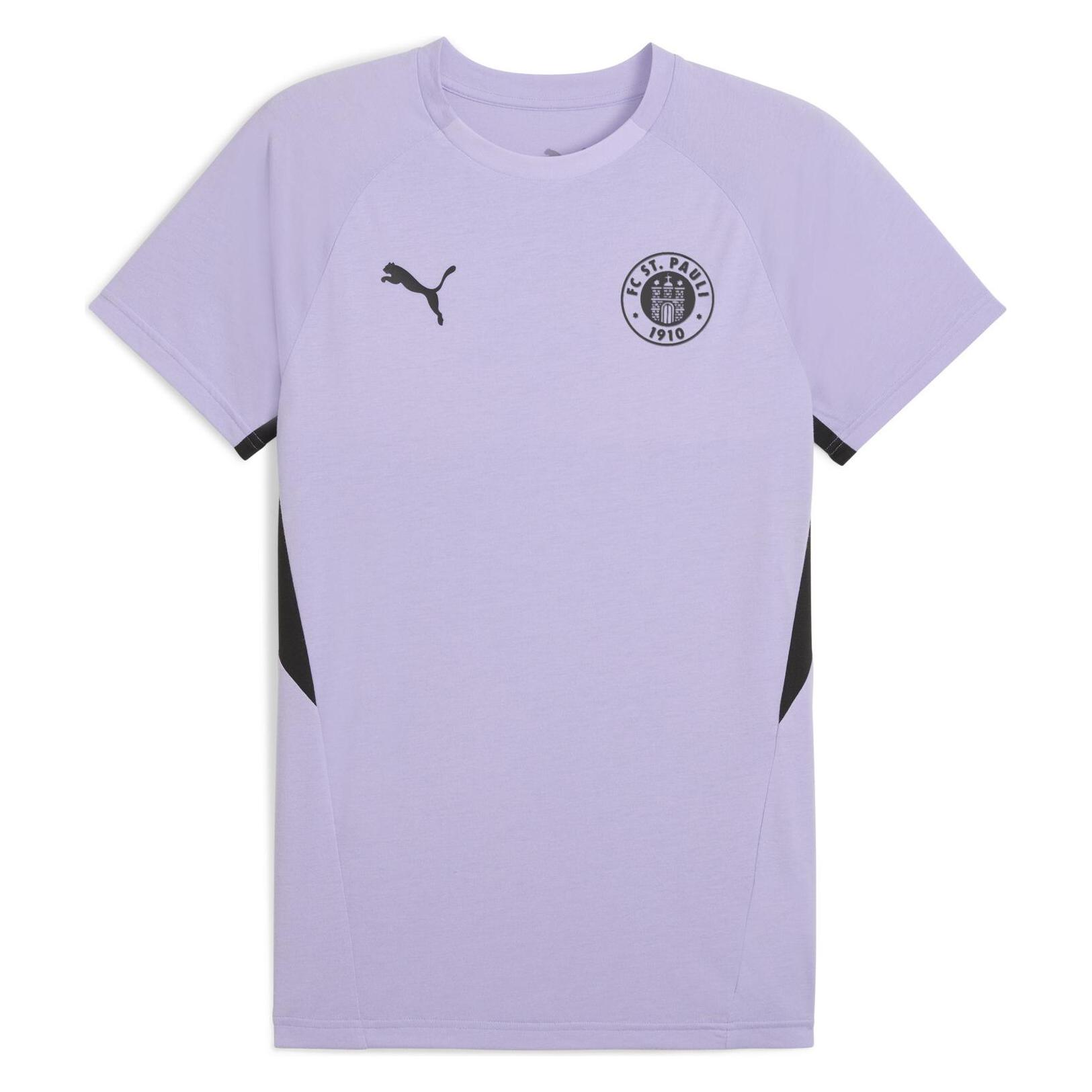 Puma Fcsp Evostripe Tee (M) (783593)
