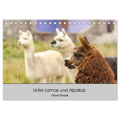 Unter Lamas und Alpakas (Tischkalender 2027 DIN A5 quer), CALVENDO Monatskalender