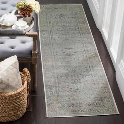 SAFAVIEH Didina Vintage Distressed Boho Oriental Rug