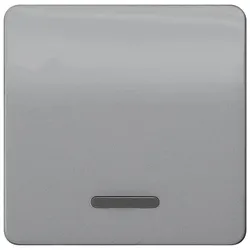 Siemens 5TG7920 DELTA profil Wippe mit Fenster für Kontroll-/Aus-/Wechselschalter, silber