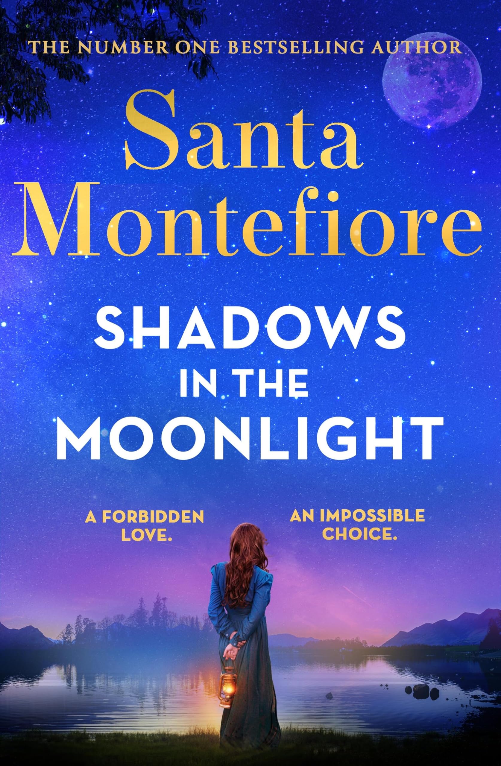 Santa Montefiore - Shadows in the Moonlight: The sensational and devastatingly romantic new novel from the number one bestselling author! (Timeslider) - Preis vom 12.10.2026 11:37:12 h