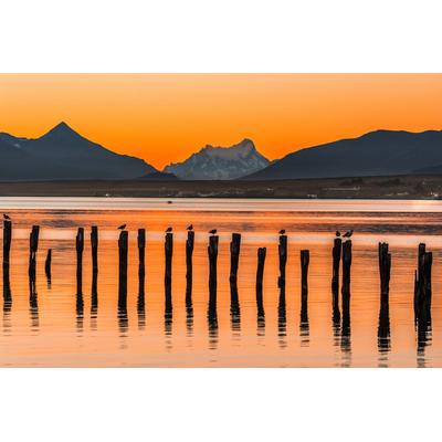 Fototapete PAPERMOON "PUERTO NATALES-CHILE SEE GEBIRGE BLUMEN SONNE WALD STEG", bunt, B:5m L:2,8m, Vlies, Tapeten