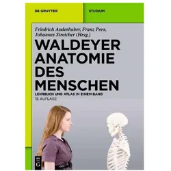 Waldeyer - Anatomie des Menschen, Fachbücher von Franz Pera, Anton Waldeyer, Johannes Streicher, Friedrich Anderhuber