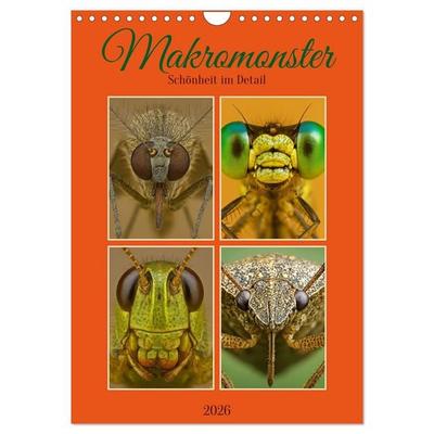 Makromonster - Schönheit im Detail (Wandkalender 2026 DIN A4 hoch), CALVENDO Monatskalender