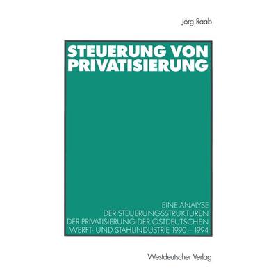 Steuerung von Privatisierung, Taschenbuch von Jörg Raab, VS Verlag für Sozialwissenschaften, 978-3-531-13703-2