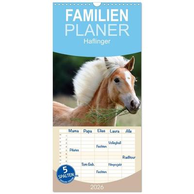 Familienplaner 2026 - Haflinger mit 5 Spalten (Wandkalender, 21 x 45 cm) CALVENDO