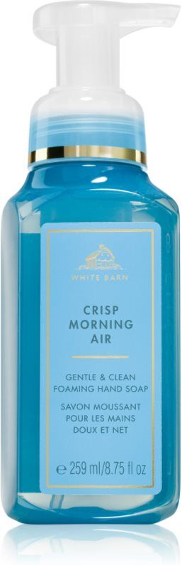 Bath & Body Works Crisp Morning Air liquid hand soap 259 ml