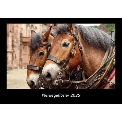 Pferdegeflüster 2025 Fotokalender DIN A3