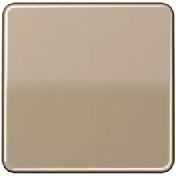 Jung Steuertaste Standard CD 1700 GB