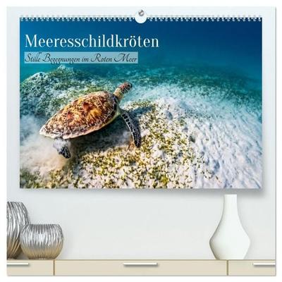 Meeresschildkröten: Stille Begegnungen im Roten Meer (hochwertiger Premium Wandkalender 2027 DIN A2 quer), Kunstdruck in Hochglanz