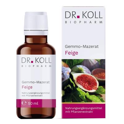 Gemmomazerat Feige Bio 50 ml Tropfen
