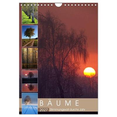 Bäume - Stimmungsvoll durchs Jahr (Wandkalender 2027 DIN A4 hoch), CALVENDO Monatskalender
