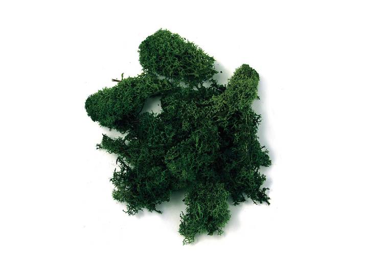 Rayher Islandmoos Dunkelgrün 100 g