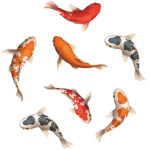 AnTina Antirutsch-Aufkleber Koi-Karpfen, 7 Stück, 10 x 25cm, wasserfest, bunt