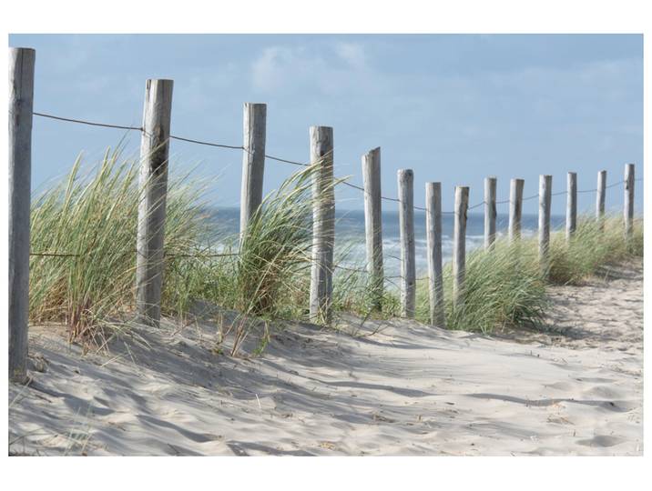 Alubild Zaun in Den Dünen image LAND
