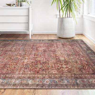 Alexander Home Isabelle Traditional Vintage Border Printed Area Rug
