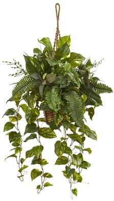 Nearly Natural Mixed Pothos and Boston Fern in Hanging Basket