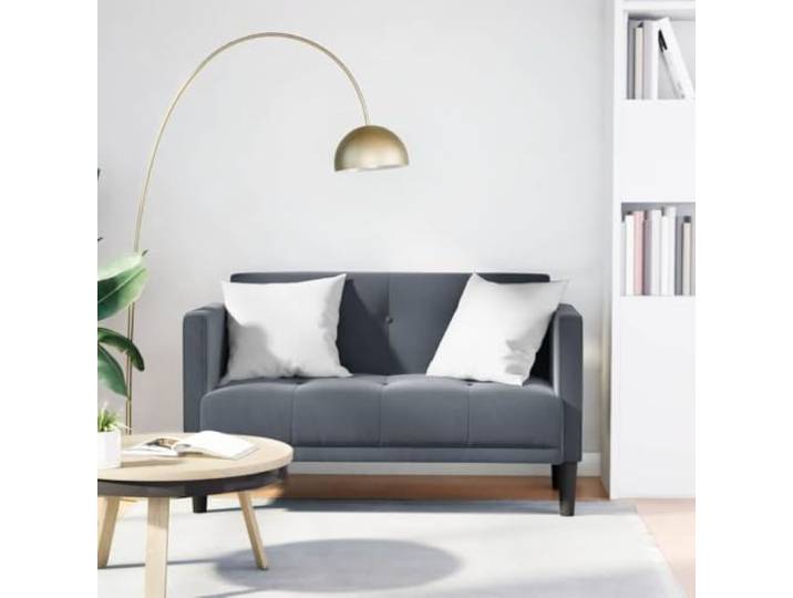 HEFZGDB Zweisitzer Sofa Dunkelgrau 111 cm Samt Stoffbezug mit Polsterung und Federkern für Wohnzimmer Komfort Sofa mit stabilen Sperrholzrahmen und weichen Samtbezug für Entspannung