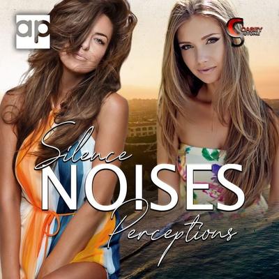 Silence, Noises, Perceptions - Casey Stone, Audio, 9783987478956