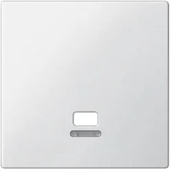 Merten Zentralplatte für Zugschalter mit Kontrollfenster, System M (polarweiß matt)