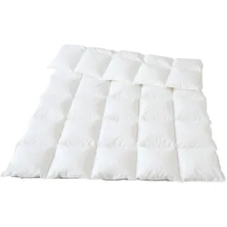Traumina Daunendecke  Plume Bio WK 3 medium, Füllung: 100% Gänsedaunen 200x200 cm