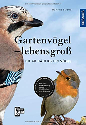 Daniela Strauß - Gartenvögel lebensgroß: Die 60 häufigsten Vögel, Einfache Bestimmung, Mit 60 Rufen und Gesängen - Preis vom 10.10.2026 11:48:34 h