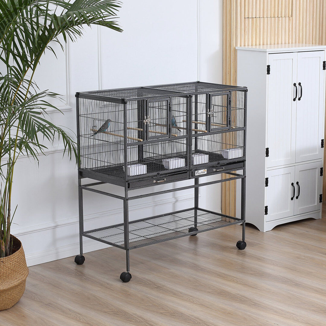Archie & Oscar Keiser Double Rolling Bird Cage with Removable Metal Tray and Storage Shelf Black 102cm H X 95cm W X 45.5cm D