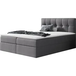 BOXBETT Rico - H3