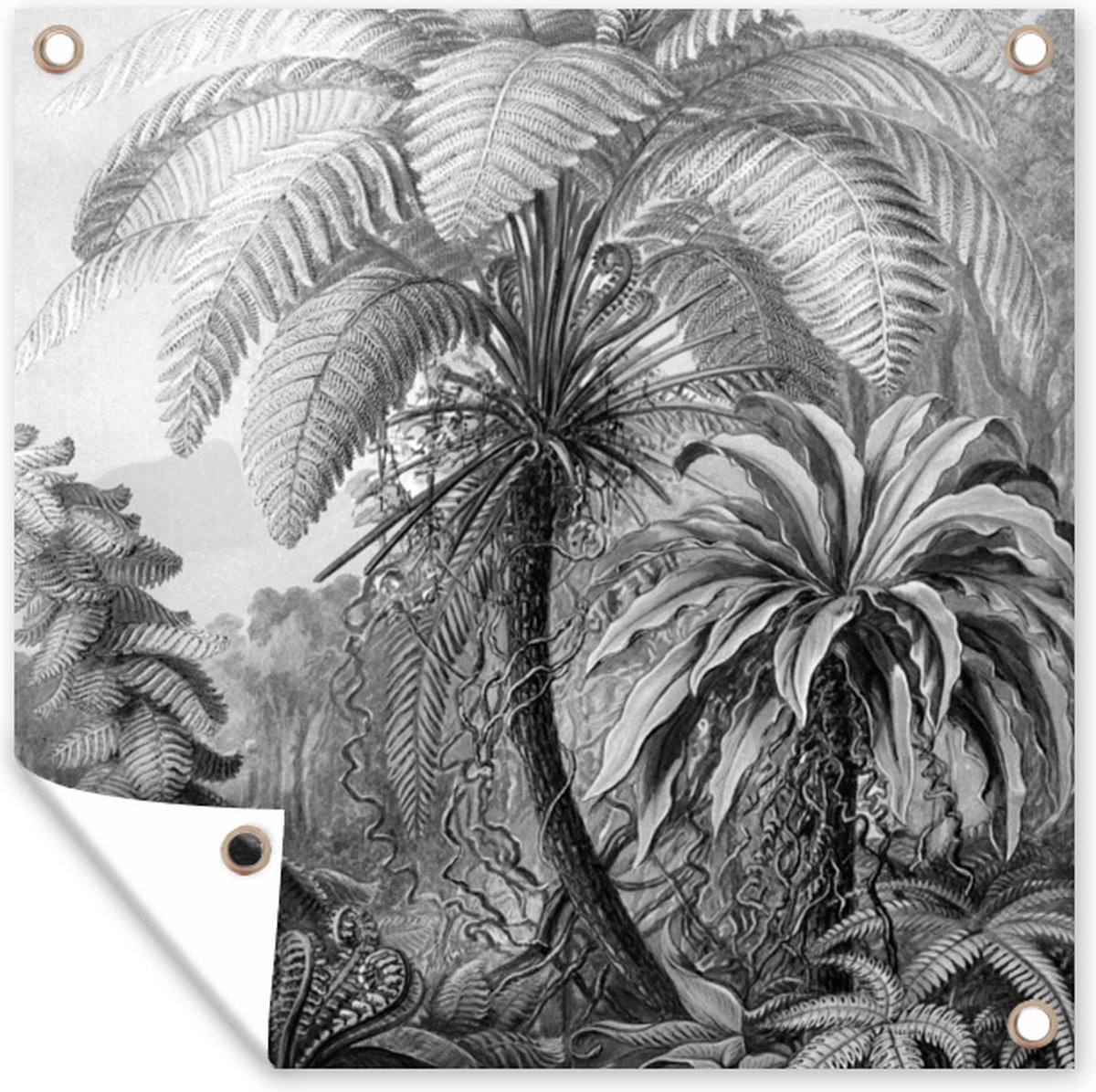 Botanische Tuinposter met Planten Illustratie - Zwart Wit - 100 x 100 cm