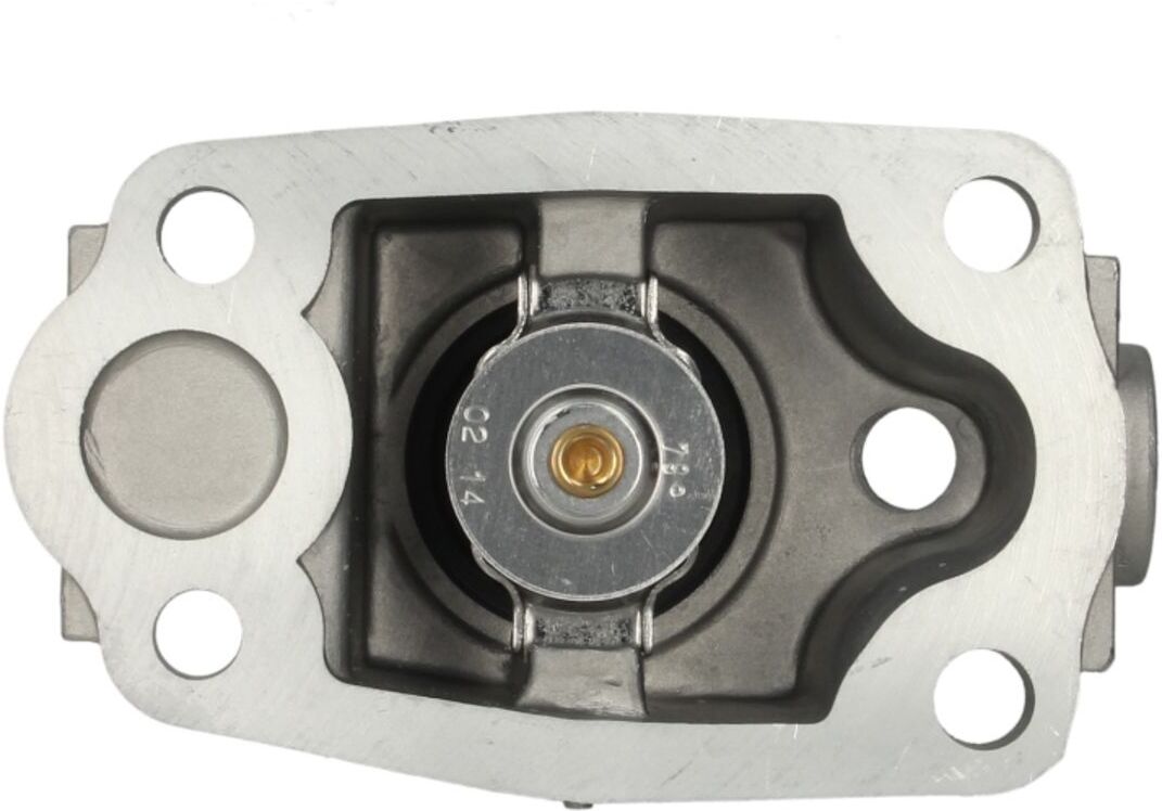 Borgwarner (Wahler) Thermostat, Kühlmittel WAHLER 410081.79D