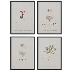 POSTER Set mit 4 mit kleinen Pflanzenblättern aus dem Künstler PierreJoseph Redouté A3 Schwarzer Rahmen