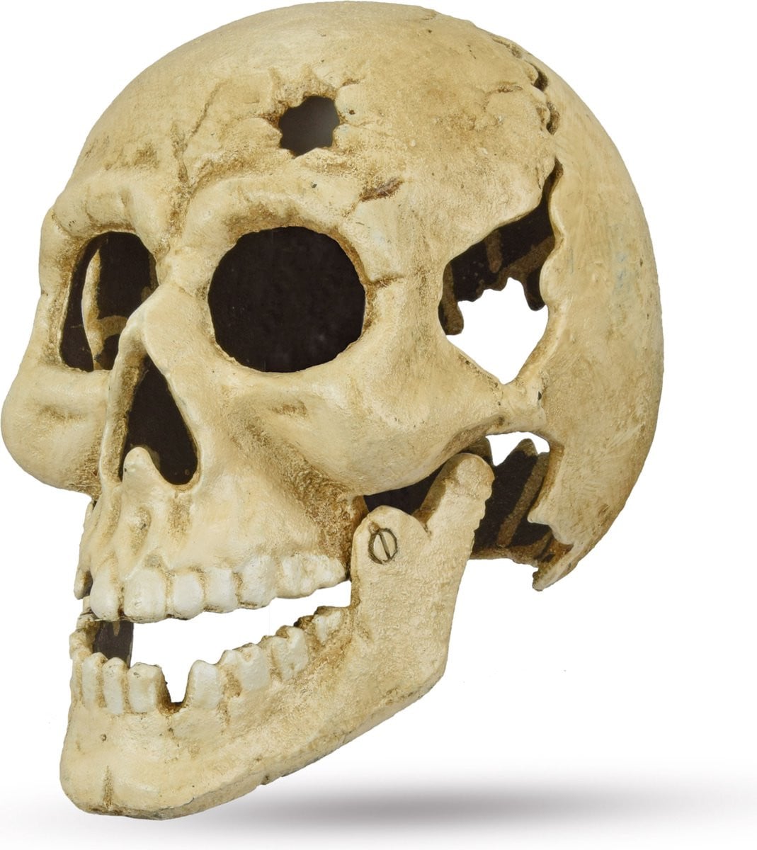 Gietijzeren schedel voor op tafel als Halloween decoratie
