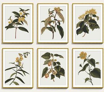 "Golden Blooms Art - Print II, 41"" x 32"" - Ballard Designs"