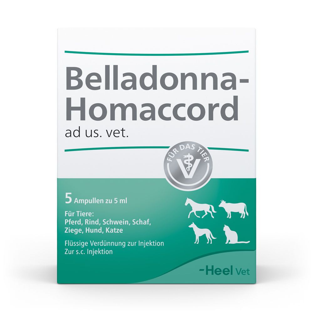 Belladonna Homaccord ad us.vet.Ampullen 5 St Ampullen