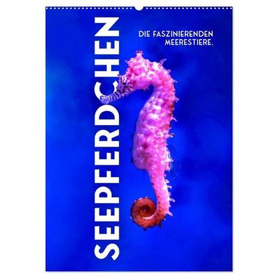 Seepferdchen - Die faszinierende Meerestiere. (Wandkalender 2027 DIN A2 hoch), CALVENDO Monatskalender