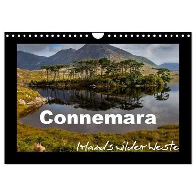Connemara - Irlands wilder Westen (Wandkalender 2026 DIN A4 quer), CALVENDO Monatskalender