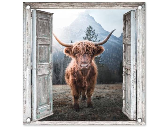 Tuinposter - 50x50 cm - Schotse hooglander - Koe - Landelijk - Doorkijk