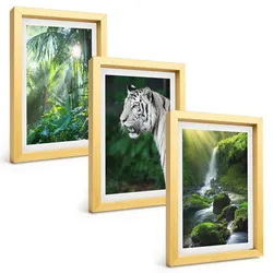 BILDER SET 3er Set - 20x30 cm Goldrahmen - Dschungeltigerwasserfall