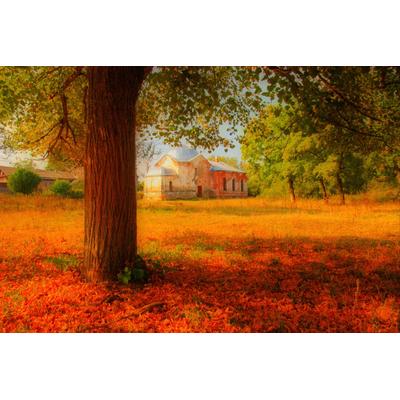 Fototapete PAPERMOON "Herbstlandschaft", bunt, B:3m L:2,23m, Vlies, Tapeten