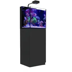 Red Sea MAX NANO Cube G2 mit Schrank Aquarium mit Schrank schwarz
