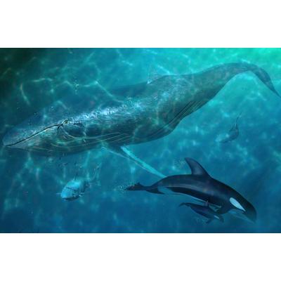 Fototapete PAPERMOON "Wal und Orcas", bunt, B:4m L:2,6m, Vlies, Tapeten
