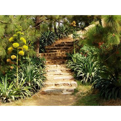 Fototapete PAPERMOON "Hill Garden", bunt, B:5m L:2,8m, Vlies, Tapeten