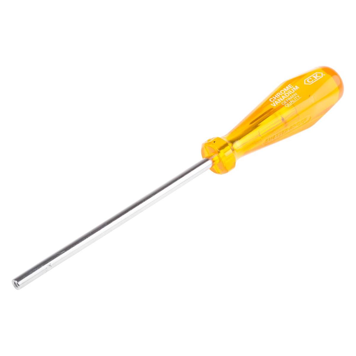 C.K Magma Werkstatt Steckschlüssel-Schra (3 mm) (T4334M 03)