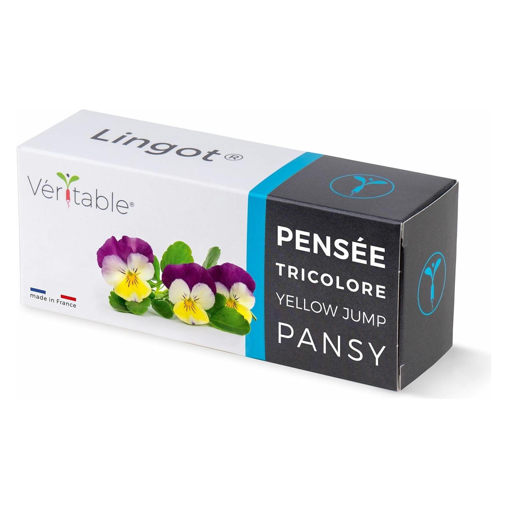 Véritable Bio-Stiefmütterchen (Pflanzensamen) (3760262511221)