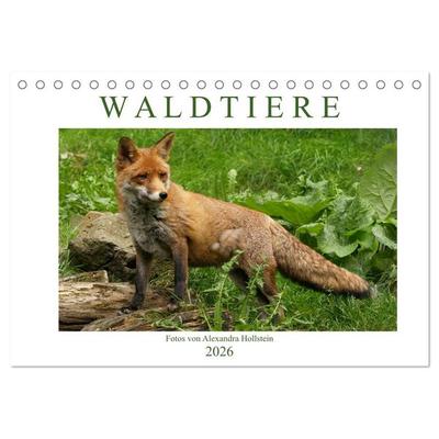 Waldtiere (Tischkalender 2026 DIN A5 quer), CALVENDO Monatskalender