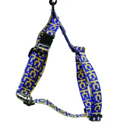 Martin Sellier Santa (L, Hund, Allgemein, Hundesport, Spazieren), Halsband + Leine