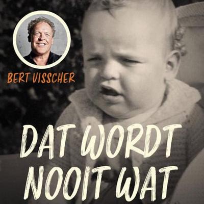 Dat wordt nooit wat - Bert Visscher, Audio, 9789464302097